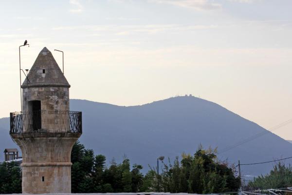 Beit HaOmanim