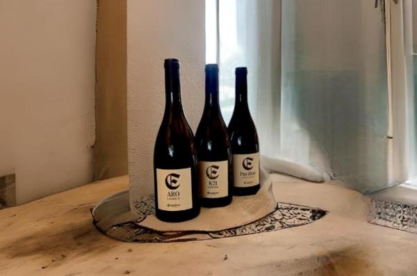 Engadiner Apartments & Wines