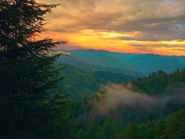 Sunrise Homestay, Забронировать  Cheog штат Химачал-Прадеш