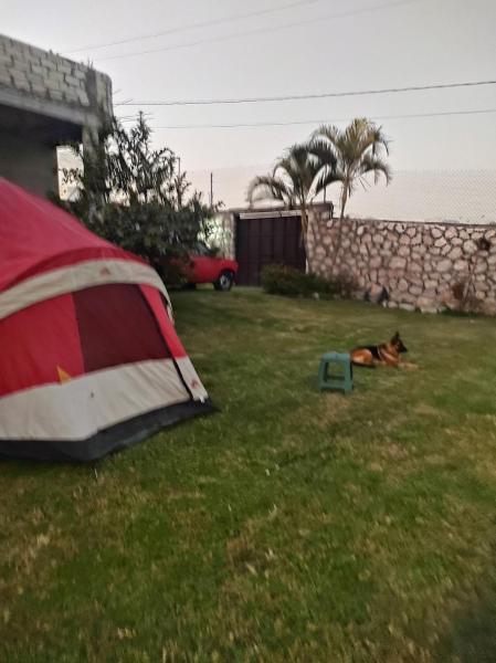 Nada y acampa con tus perritos, Забронировать  Тескалпан Морелос