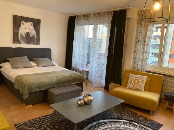 Appartement 1,5 pces, Забронировать  Фрибур 