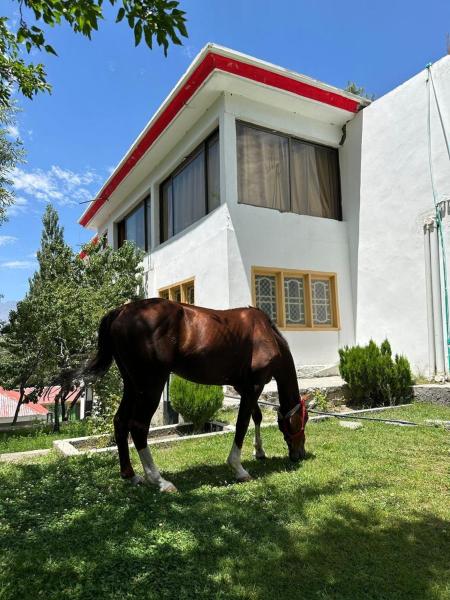 HOTEL ELITE SKARDUu, Забронировать  Отели штата Джамму и Кашмира с парковкой, Парковка