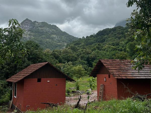 Jungle Homes, Забронировать  Колленгоде 