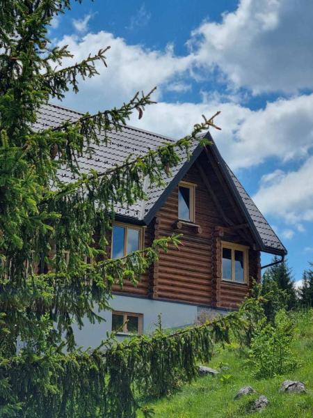 Beloglavi sup, Забронировать  Bukorovac Центральная Сербия