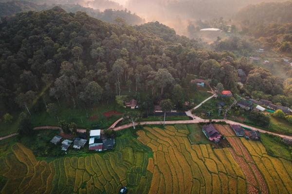 Lochi Chiangmai โลชิ เชียงใหม่, Забронировать   