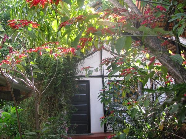 Banana Jungle Lodge, Забронировать  Моши 