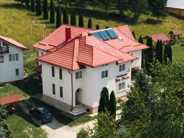 Pensiunea Valea Dornelor, Забронировать  Ortoaia Сучава