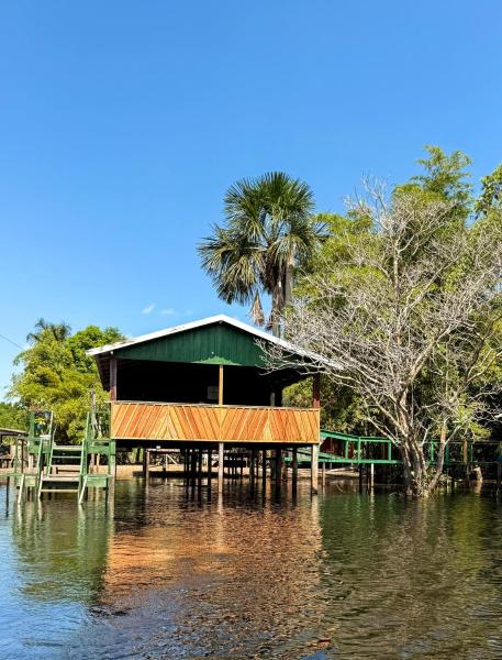 Flor da Mata, Забронировать  Ирандуба Amazon Jungle