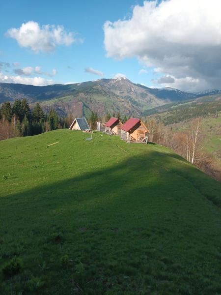 Eco katun Kofiljača, Забронировать  Плав Prokletije National Park