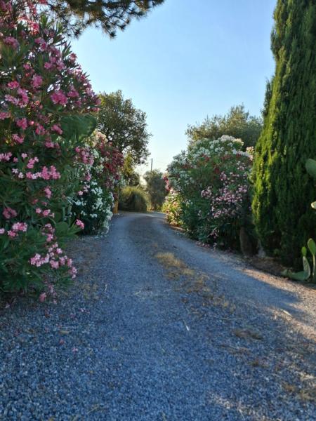 Agriturismo podere 329, Забронировать  Отели Мальяно-ин-Тосканы с парковкой, Парковка
