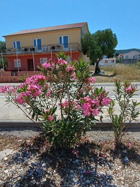 Levanat, Забронировать  Яньина Pelješac