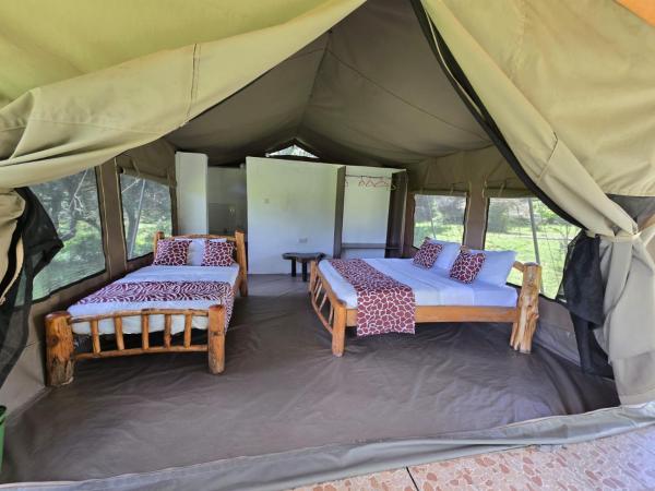 Wild Nest Mara camp, Забронировать  Масаи-Мара Maasai Mara National Reserve