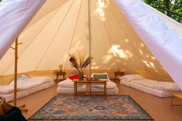 Jaskółkowo Glamping, Забронировать Кемпинг Кемпинги и глэмпинги Поморского воеводства, Кемпинг