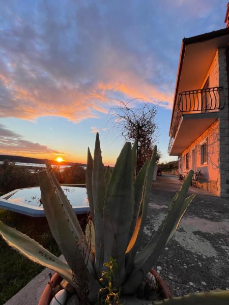 4 Roses Residence, 预订  塞科夫列 Slovenian Istria