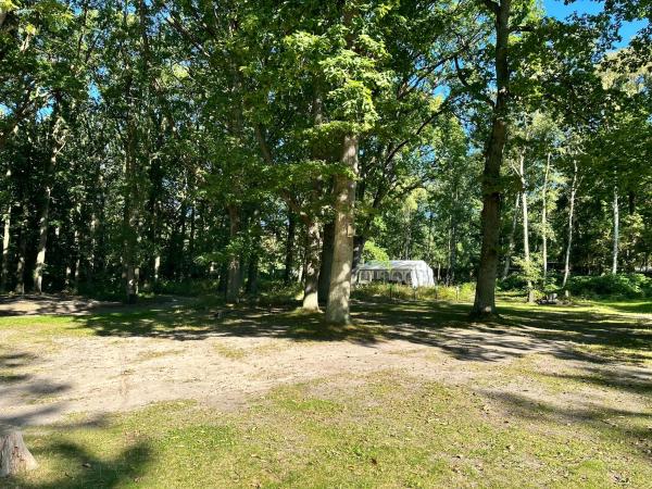 Stellplatz für ihr eigenes Wohnmobil am Ferienpark Bernstein, Забронировать  Дранске Wittow Peninsula