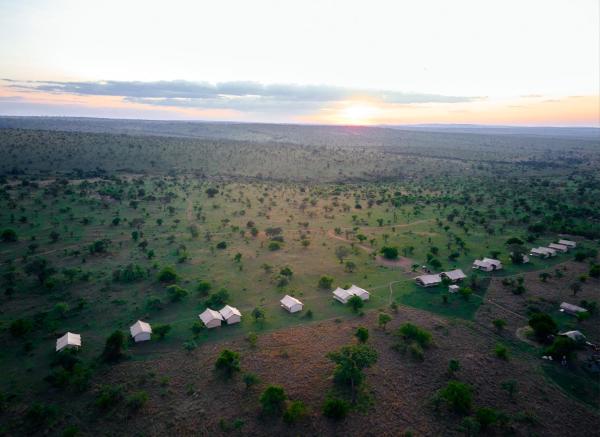 Pamoja Migration Camp, Забронировать  Серенгети Объединенная Республика Танзания