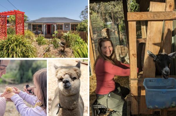 Blue Mountains Urban Farm Stay near Sydney, Забронировать  Hazelbrook Новый Южный Уэльс