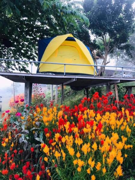 แม่ป้อมโฮมสเตย์ ลานกางเต้นท์ริมโขง, Забронировать  Пан Муанг Nong Khai Province