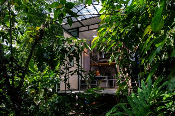 Perezoso Villa. Jurassic Park loft in the jungle, Забронировать  Пуэрто-Вьехо Лимон
