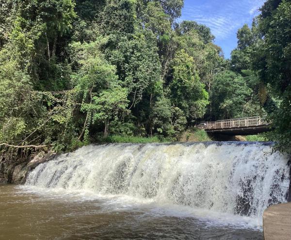 Malanda Falls Retreat, Забронировать  Маланда Квинсленд