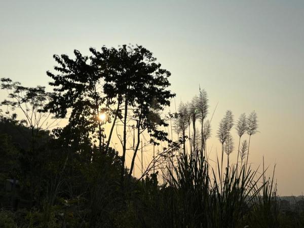 Teplong - The Paix, Kaziranga, Забронировать  Kaolākhāt штат Ассам