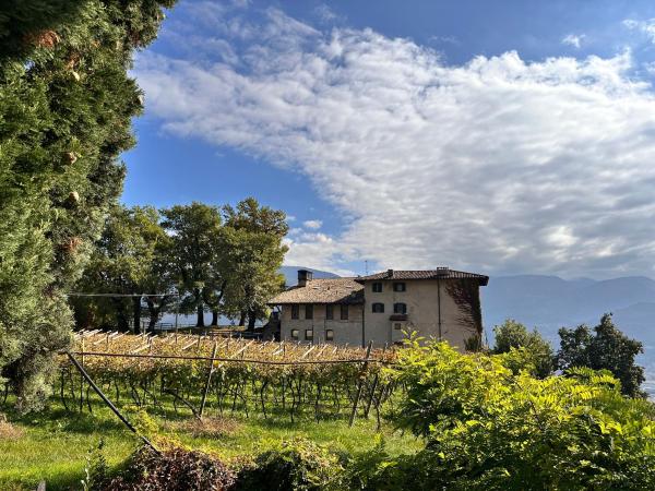 Maso Sasso - La Locanda di Putipù, Забронировать  Отели Vallagarina с парковкой, Парковка