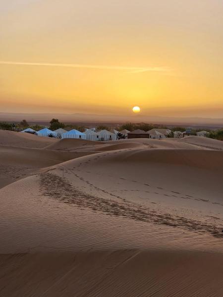 Desert Live Luxury Camp, Забронировать  Мерзуга Эр-Рашидия
