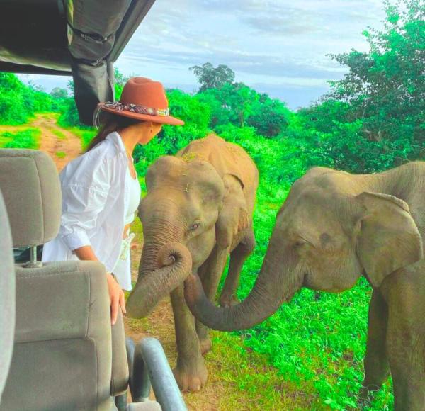 Ora Safari Resort, Забронировать  Отели Ratnapura District с парковкой, Парковка