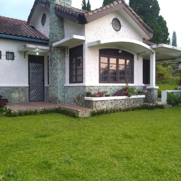 Villa Montana 2