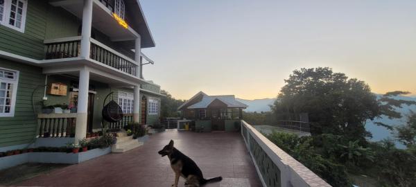 Ringkingpong homestay, Забронировать  Калимпонг Западная Бенгалия