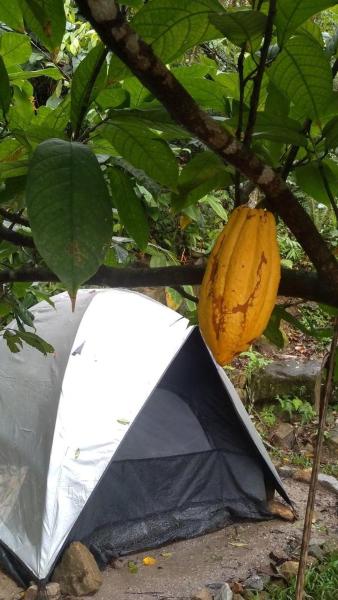 Camping - Recanto do Leâo, Забронировать  Гуаружа муниципалитет Гуаружа