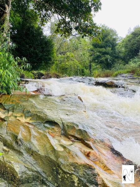 , Забронировать  Мадикери Coorg