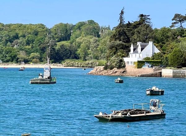BB les pieds dans L\eau CARANTEC, Забронировать  Карантек Finistère