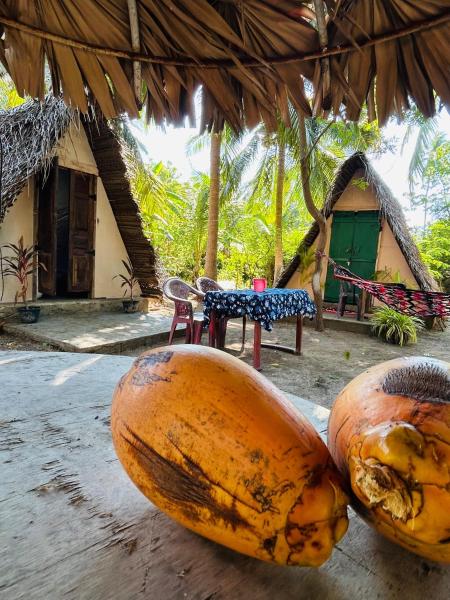 Delft Jeyam Home Stay, Забронировать  Джафна округ Джафна