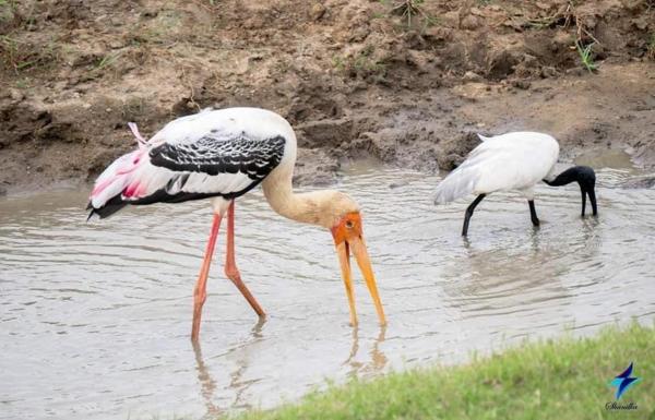 Nature\s peak Udawalawa, Забронировать  Отели La Spezia с парковкой, Парковка