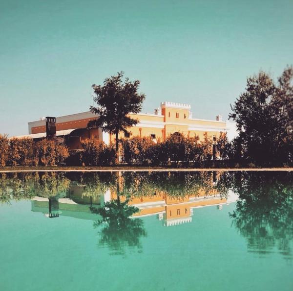 Tenuta Orsanese
