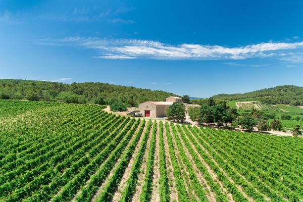 Château de Prax Viel - piscine et mini ferme, climatisé, Забронировать  Лаграс Корбьер