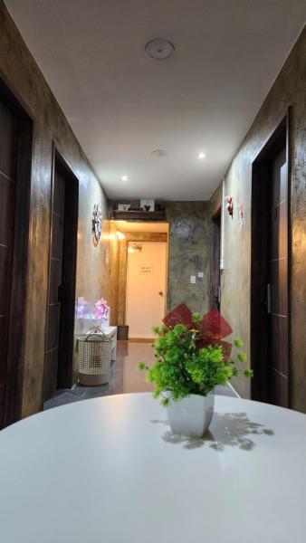 SPACE Guesthouse