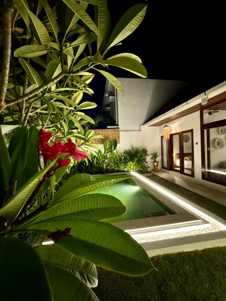Villa Licia - Seseh area
