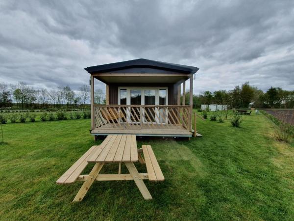 Holiday home in Schoonloo with balcony terrace