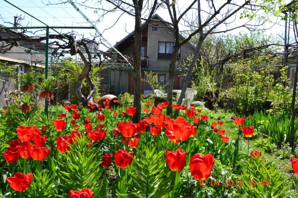 Miloravas Guest House & Wine Cellar