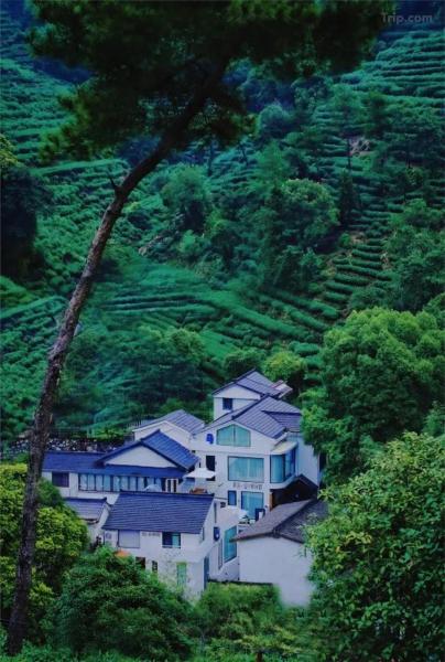 HangZhou SUYAN DESIGNER HOTEL