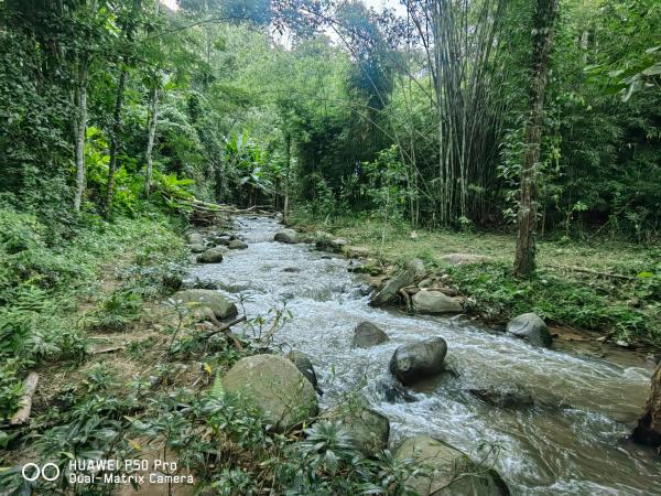 ติดธารโฮมสเตย์ - Cabin by The stream, Забронировать  Ban Nong Chaeng 