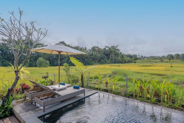 Aranya Ubud Villa, Забронировать  Отели провинции Бали с завтраком, Завтраки