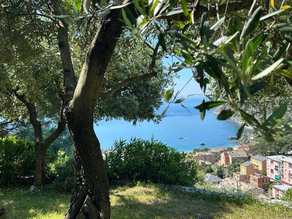 Villa Renata - amazing sea view garden terrrace, Забронировать  Отели Монтероссо-аль-Маре с парковкой, Парковка