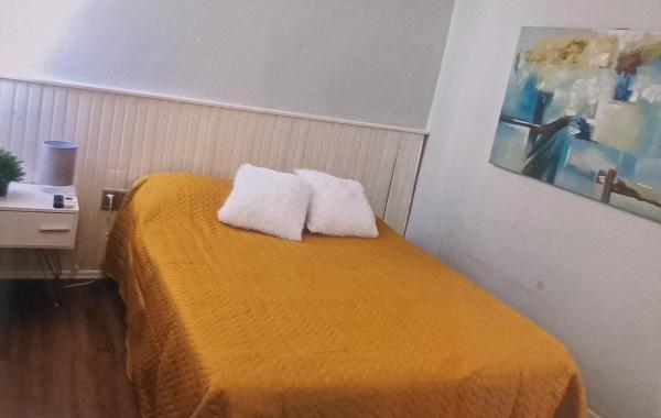 Mono gorlero, Забронировать  Пунта-дель-Эсте Punta del Este and Vicinity, рядом с Brava Beach