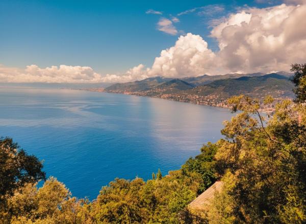 Villa Olivari Apartments & Garden, by Alma Haven, Забронировать  Сан-Рокко Лигурия