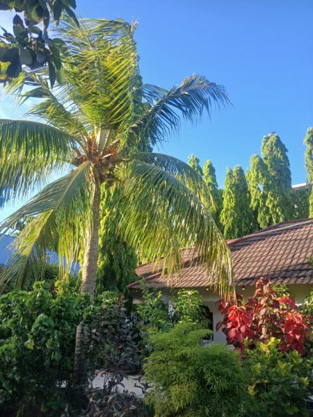 KIVi Cottages Nungwi