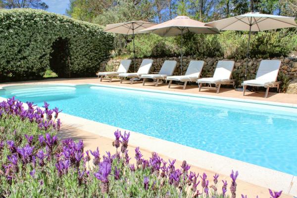 Provençal Villa With Pool Near St Antonin Du Var, Забронировать  La Caravane Альпы