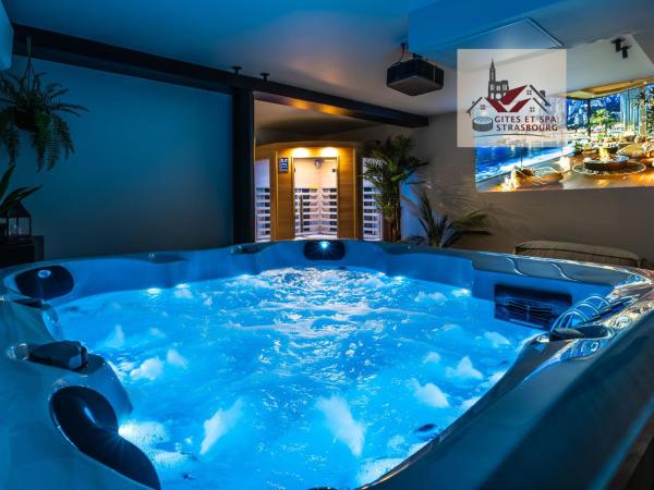 Villa de rêve - Sauna - Spa - babyfoot - Arcade, Забронировать  Катзенайм Эльзас